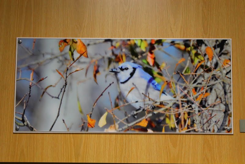 Original Photography printed on acrylic with decorative mount concept