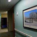 Original photography double matted and framed for hospital hallway