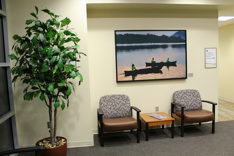 Original photography printed on canvas in floater frame for hospital lobby