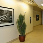 Completed project - artwork for major corridor