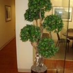 Silk tree in decorative container, overall height is 7'