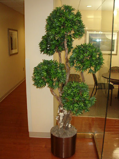 Silk tree in decorative container, overall height is 7'