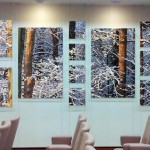 Specialty corporate art project - images between glass & suspended on cables