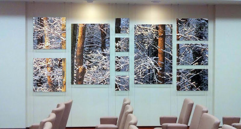 Specialty corporate art project - images between glass & suspended on cables